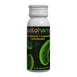 Bactohemp