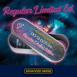 Ed. Especial - Do-Si-Dos #4  5 u. reg. Advanced Seeds 
