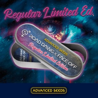 Ed. Especial - Road Dawg x Face Off  5 u. reg. Advanced Seeds 