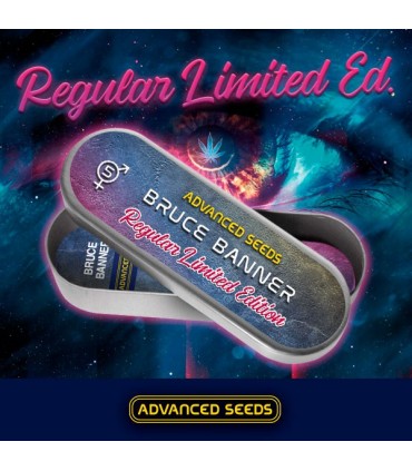 Ed. Especial - Bruce Banner  5 u. reg. Advanced Seeds 