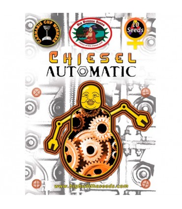 Auto Chiesel 10 sem. fem. Big Buddha Seeds