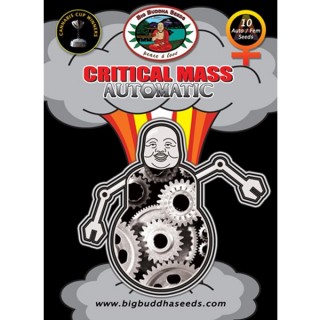 Auto Critical Mass 10 u. fem. Big Buddha Seeds