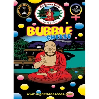 Bubble Cheese fem. Big Buddha Seeds