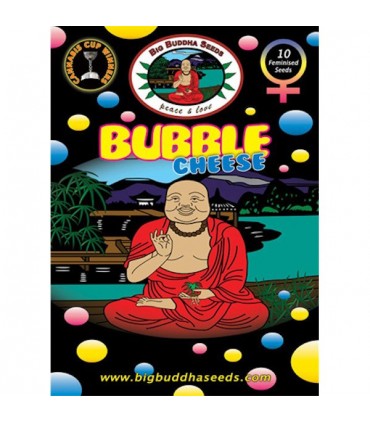 Bubble Cheese fem. Big Buddha Seeds