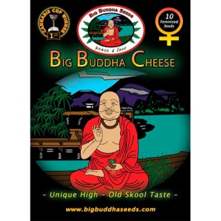 Big Buddha Cheese fem. Big Buddha Seeds