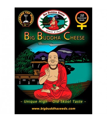 Big Buddha Cheese fem. Big Buddha Seeds