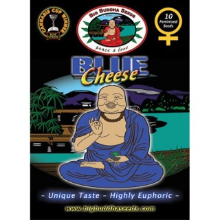 Blue Cheese 10 u. fem. Big Buddha Seeds