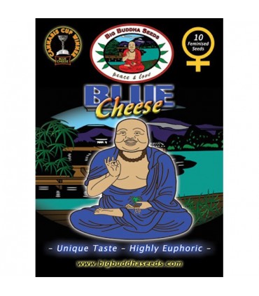 Blue Cheese 10 u. fem. Big Buddha Seeds