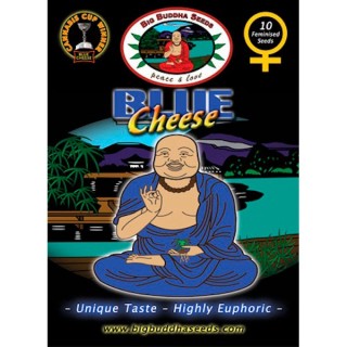 Blue Cheese fem. Big Buddha Seeds