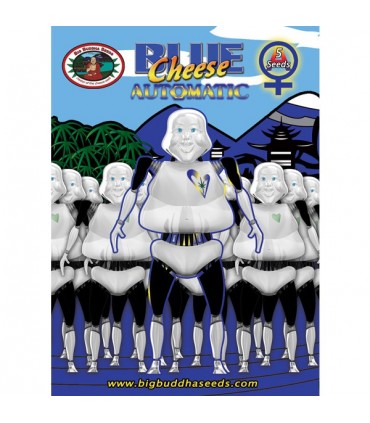 Auto Blue Cheese 10 u. fem. Big Buddha Seeds