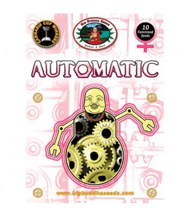 Automatic 10 u. fem. Big Buddha Seeds