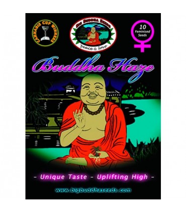 Buddha Haze 10 u. fem. Big Buddha Seeds