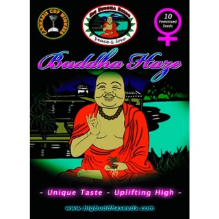 Buddha Haze fem. Big Buddha Seeds