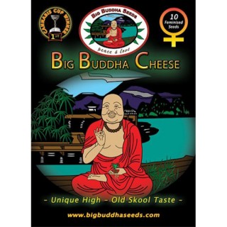 Big Buddha Cheese 10 u. fem. Big Buddha Seeds