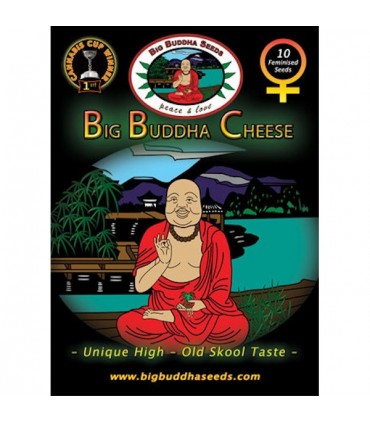 Big Buddha Cheese 10 u. fem. Big Buddha Seeds