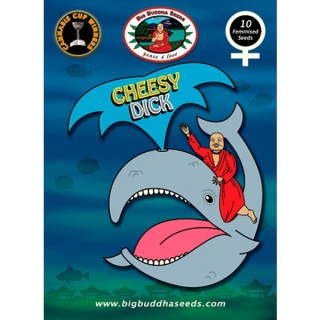 Cheesy Dick 10 u. fem. Big Buddha Seeds