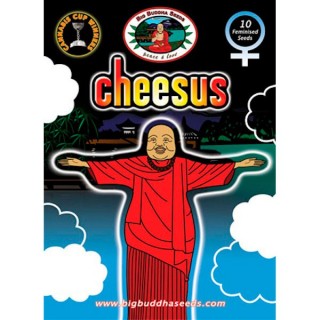 Cheesus fem. Big Buddha Seeds
