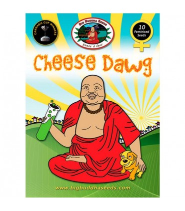 Cheese Dawg 10 u. fem. Big Buddha Seeds