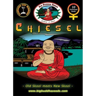 Chiesel 10 u. fem. Big Buddha Seeds