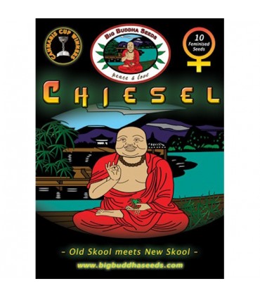 Chiesel 10 u. fem. Big Buddha Seeds