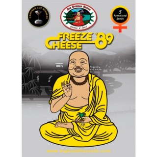 Freeze Cheese 89 - fem. Big Buddha Seeds