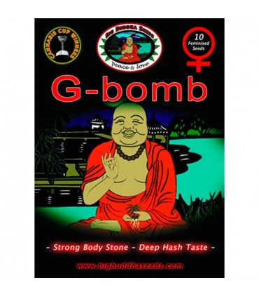 G-Bomb 10 u. fem. Big Buddha Seeds