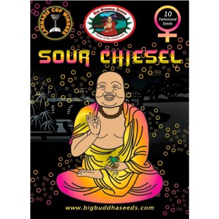 Sour Chiesel fem. Big Buddha Seeds