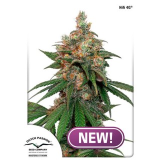 HIFI 4G fem. Dutch Passion