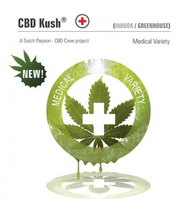 CBD Kush fem. Dutch Passion