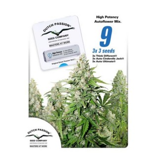 High Potency Autoflower Mix 9 u. fem. Dutch Passion