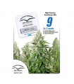 High Potency Autoflower Mix 9 u. fem. Dutch Passion