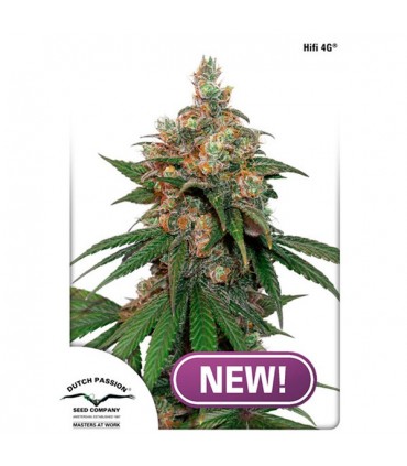 HIFI 4G  5 u. fem. Dutch Passion