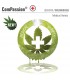 CBD Compassion fem. Dutch Passion