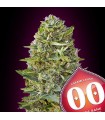 Caramel Kush fem. 00 Seeds