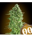 Do-Si-Dos Cookies fem. 00 Seeds