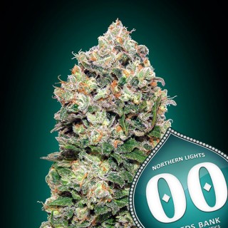Northern Lights fem. 00 Seeds