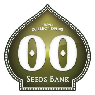 Female Collection 5 - 00 Seeds
