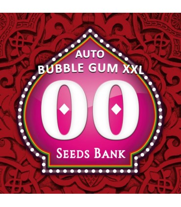 Auto Bubble Gum XXL 100 u. fem. 00 Seeds