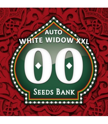 Auto White Widow XXL   5 u. fem. 00 Seeds