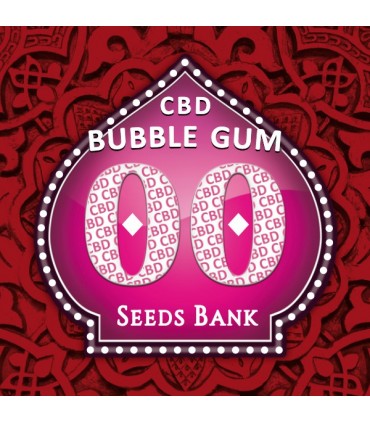 Bubble Gum CBD  25 u. fem. 00 Seeds