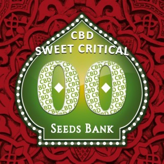 Sweet Critical CBD fem. 00 Seeds