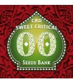 Sweet Critical CBD fem. 00 Seeds