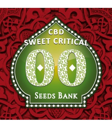 Sweet Critical CBD 100 u. fem. 00 Seeds