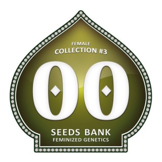 Female Collection 3 - 00 Seeds