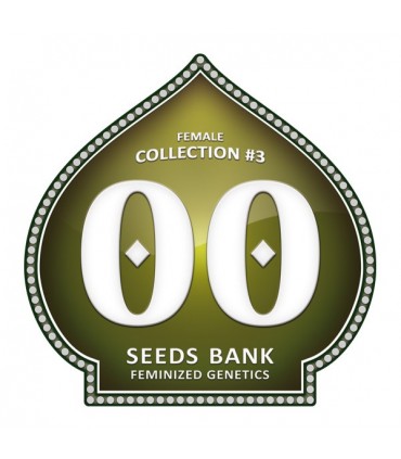 Female Collection 3 - 00 Seeds