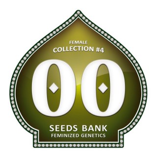 Female Collection 4 - 00 Seeds
