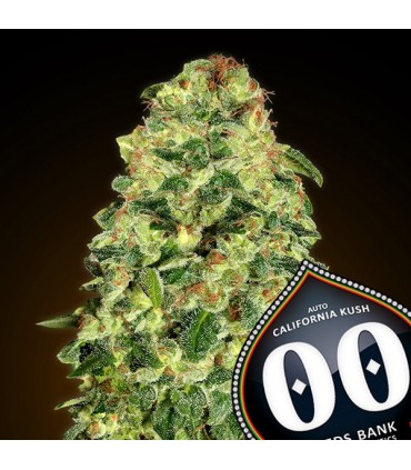 Auto California Kush  25 u. fem. 00 Seeds