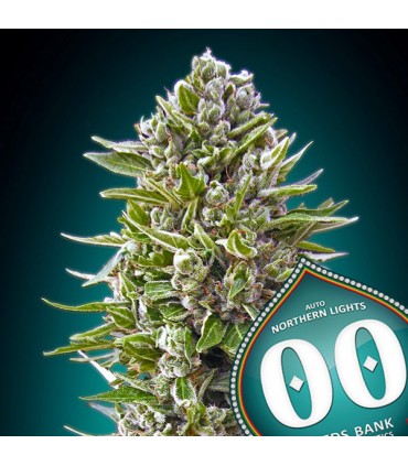 Auto Northern Lights  25 u. fem. 00 Seeds