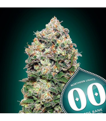 Northern Lights  25 u. fem. 00 Seeds