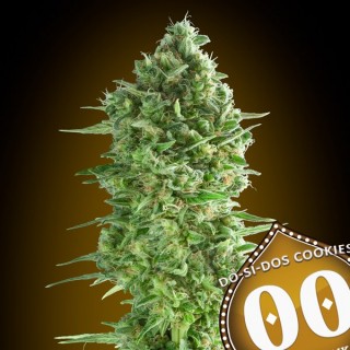 Do-Si-Dos Cookies  25 u. fem. 00 Seeds